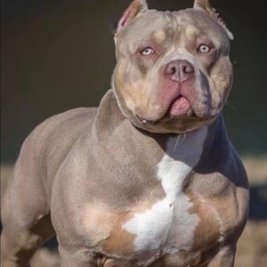 Meet your Posher, Derek